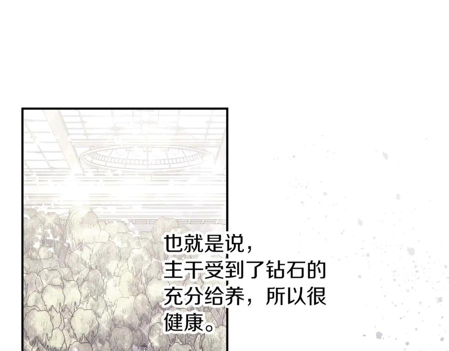 《钻石小姐历险记》第81话 世界树的请求 第44页