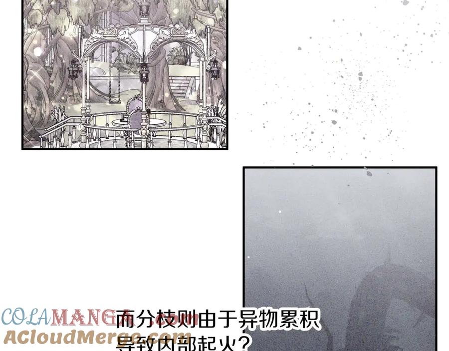 《钻石小姐历险记》第81话 世界树的请求 第45页