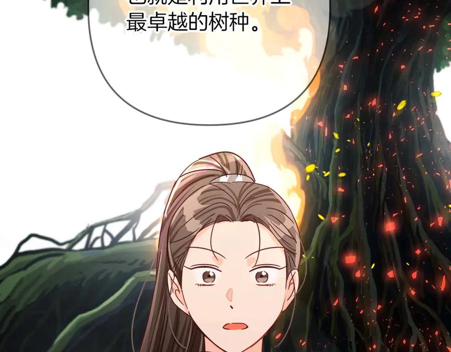 《钻石小姐历险记》第81话 世界树的请求 第2页