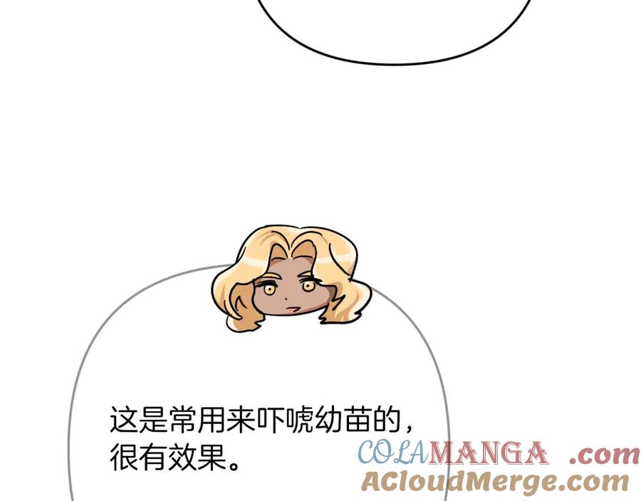 《钻石小姐历险记》第82话 制造末日的谣言 第137页