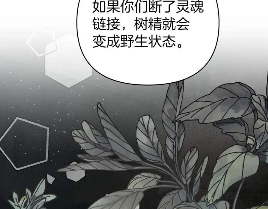 《钻石小姐历险记》第8话 这是树精？ 第60页