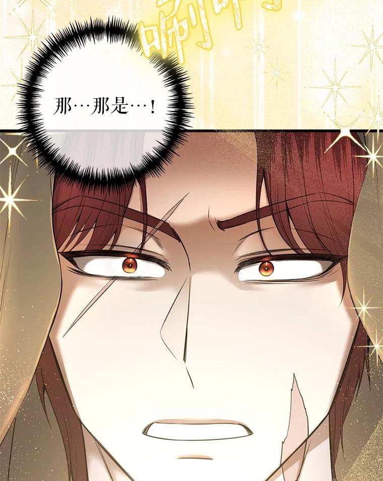 《圣女大人已黑化》20.另一种圣力 第12页