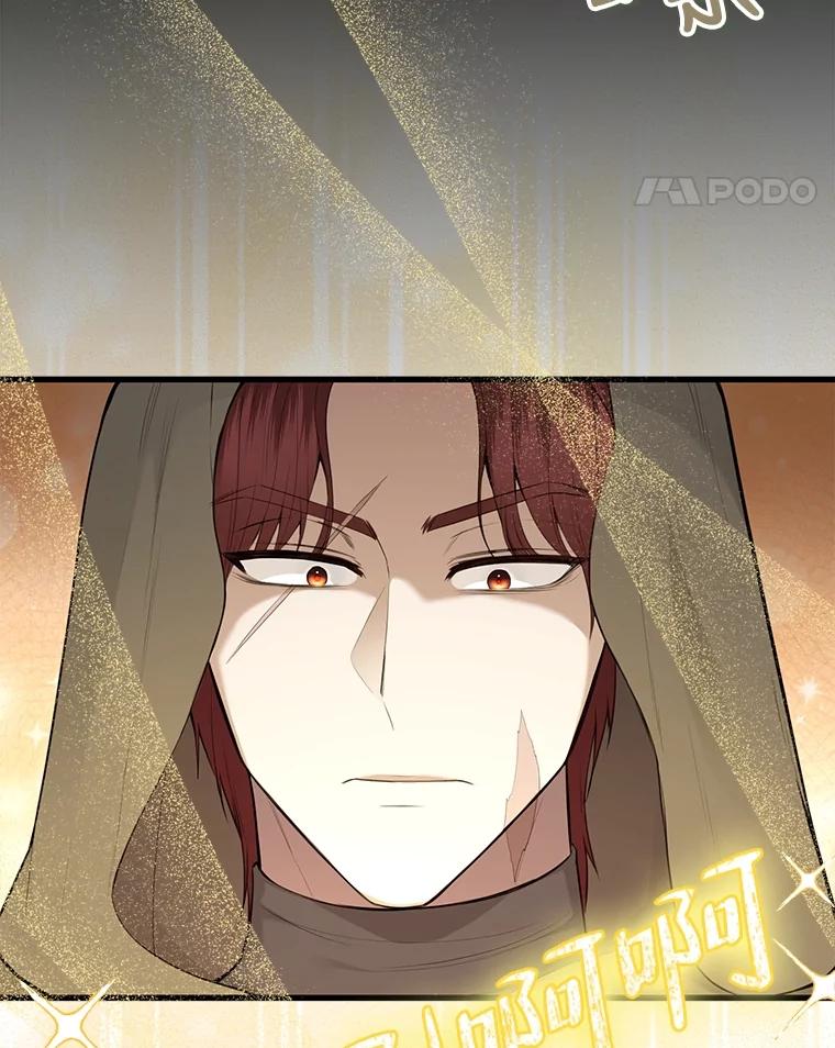 《圣女大人已黑化》20.另一种圣力 第11页