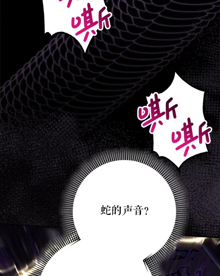 《这次要好好养妹妹》38.奇怪的书 第51页
