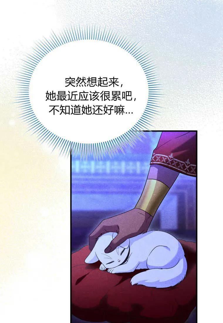 成为苏尔坦珍爱的猫咪 第38话 第90页