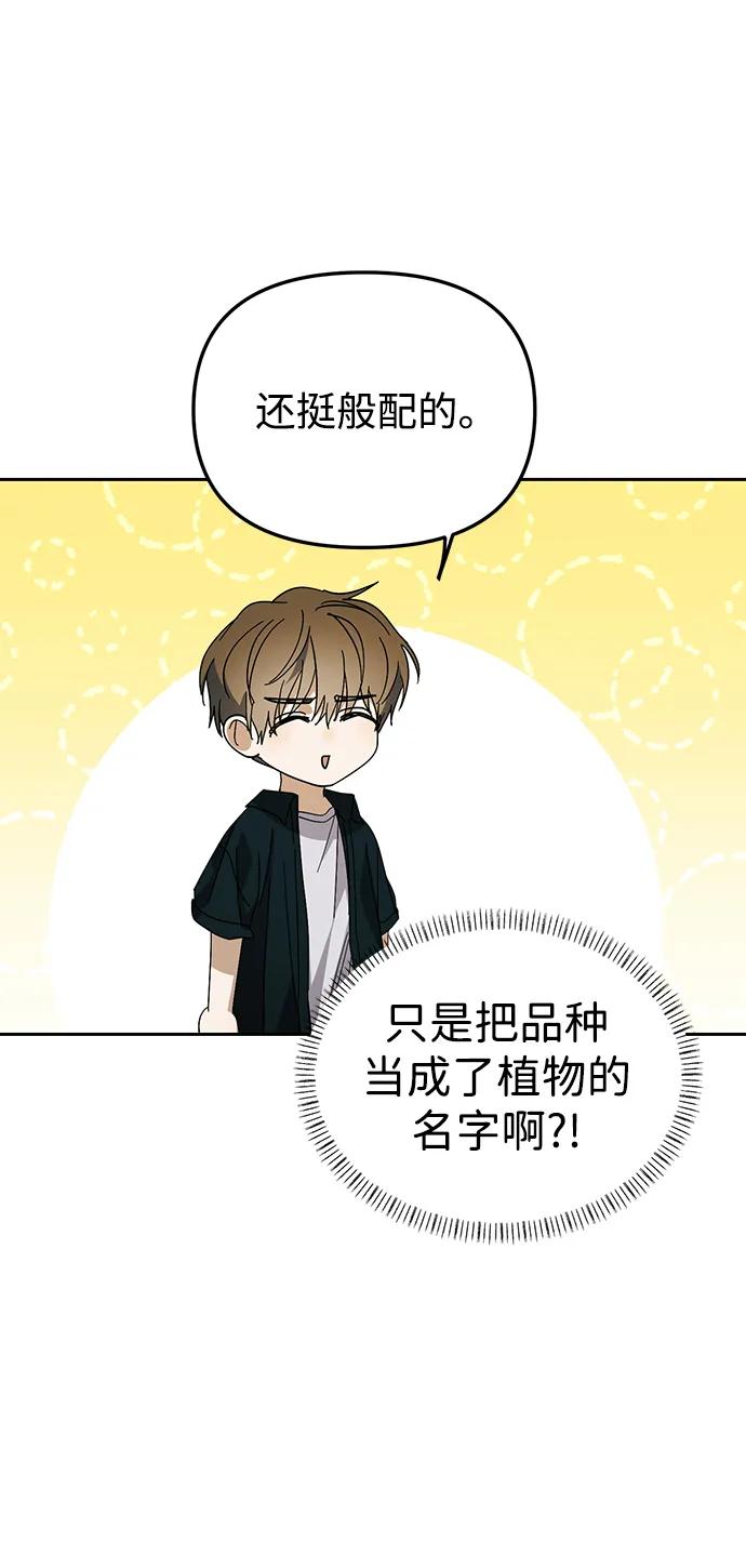 成为顶流男团的忙内 第40话 第62页