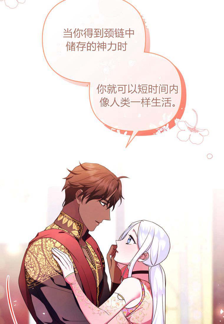 成为苏尔坦珍爱的猫咪 第49话 第36页