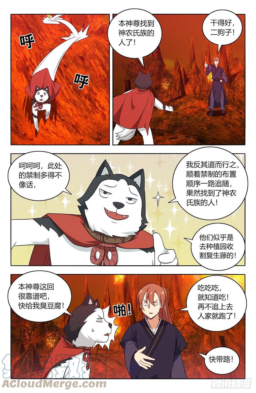 《最强反套路系统》461你是在玩火！ 第2页
