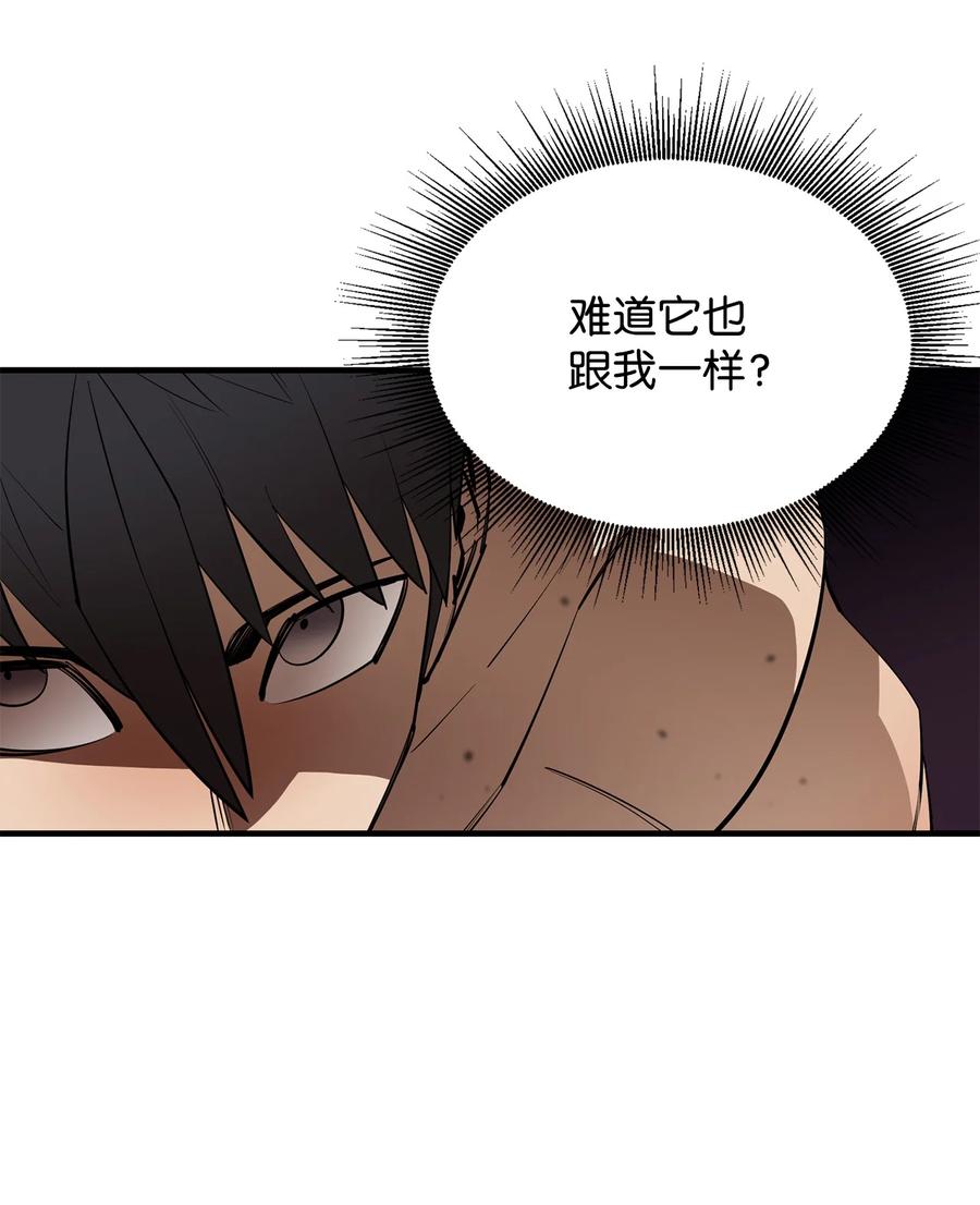 《最强饭桶》58 同类 第14页