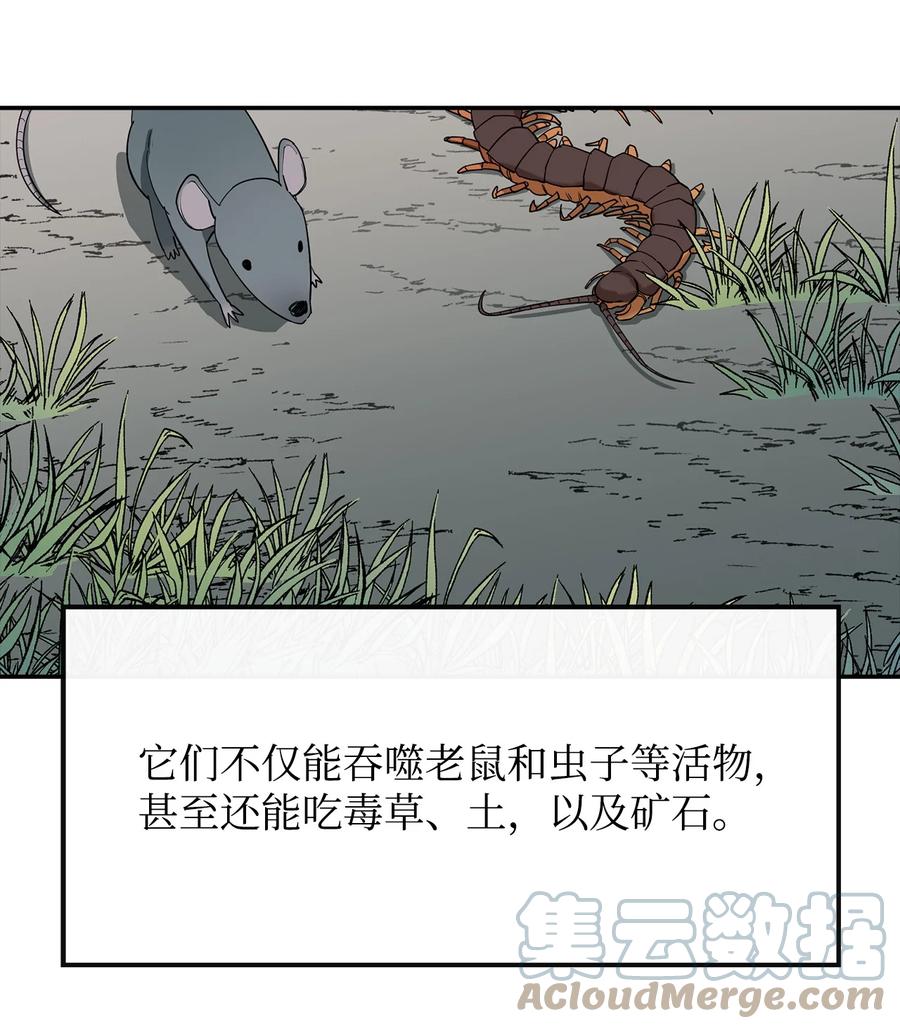 《最强饭桶》6 借刀杀人 第25页