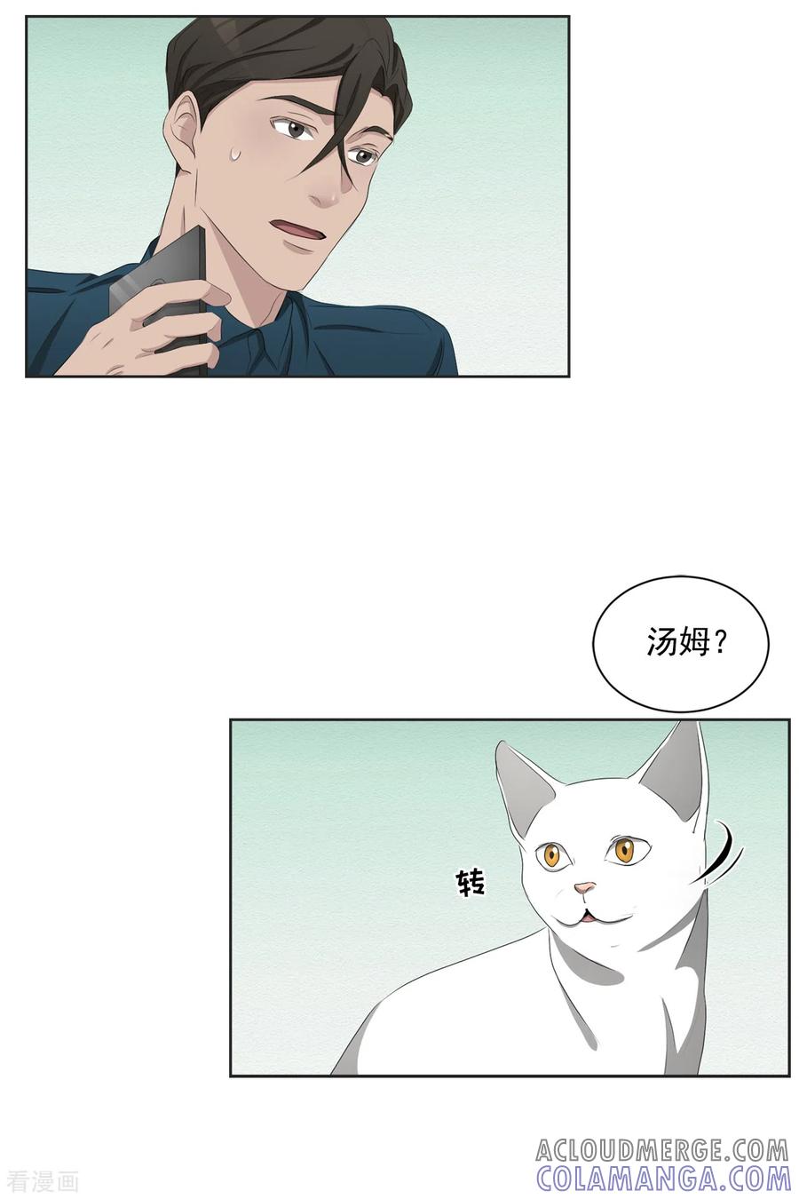 《影子侦探》第41话 朴警官送汤姆回家 第13页