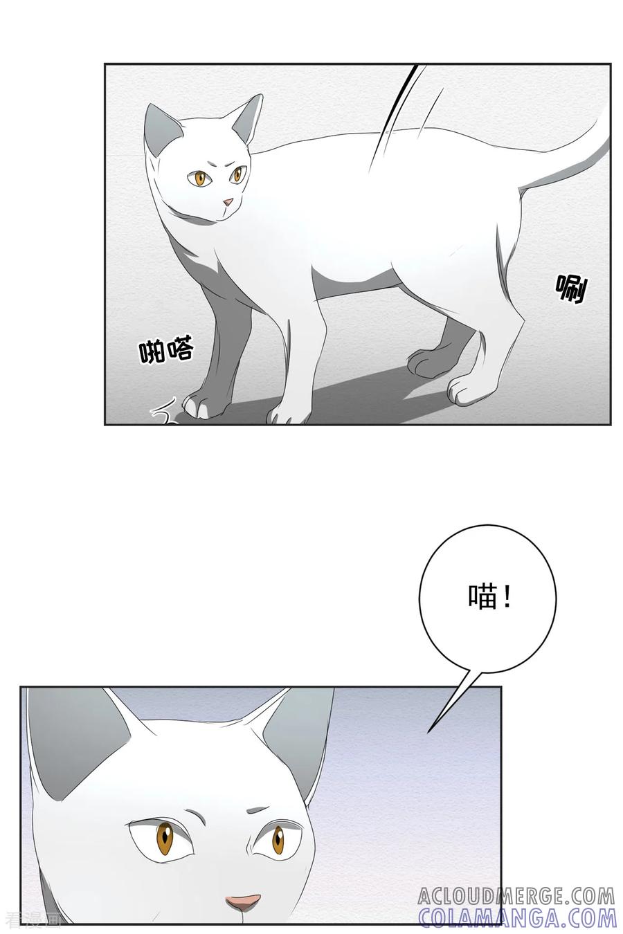 《影子侦探》第41话 朴警官送汤姆回家 第34页