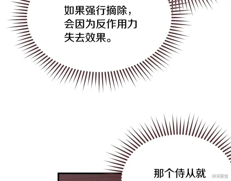 《明明是冷美人小姐却变成了忠犬大少爷》第73话 第171页