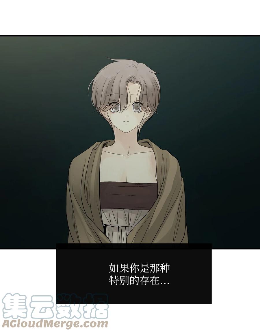 图腾领域 - 70 其他选择 - 第64张图