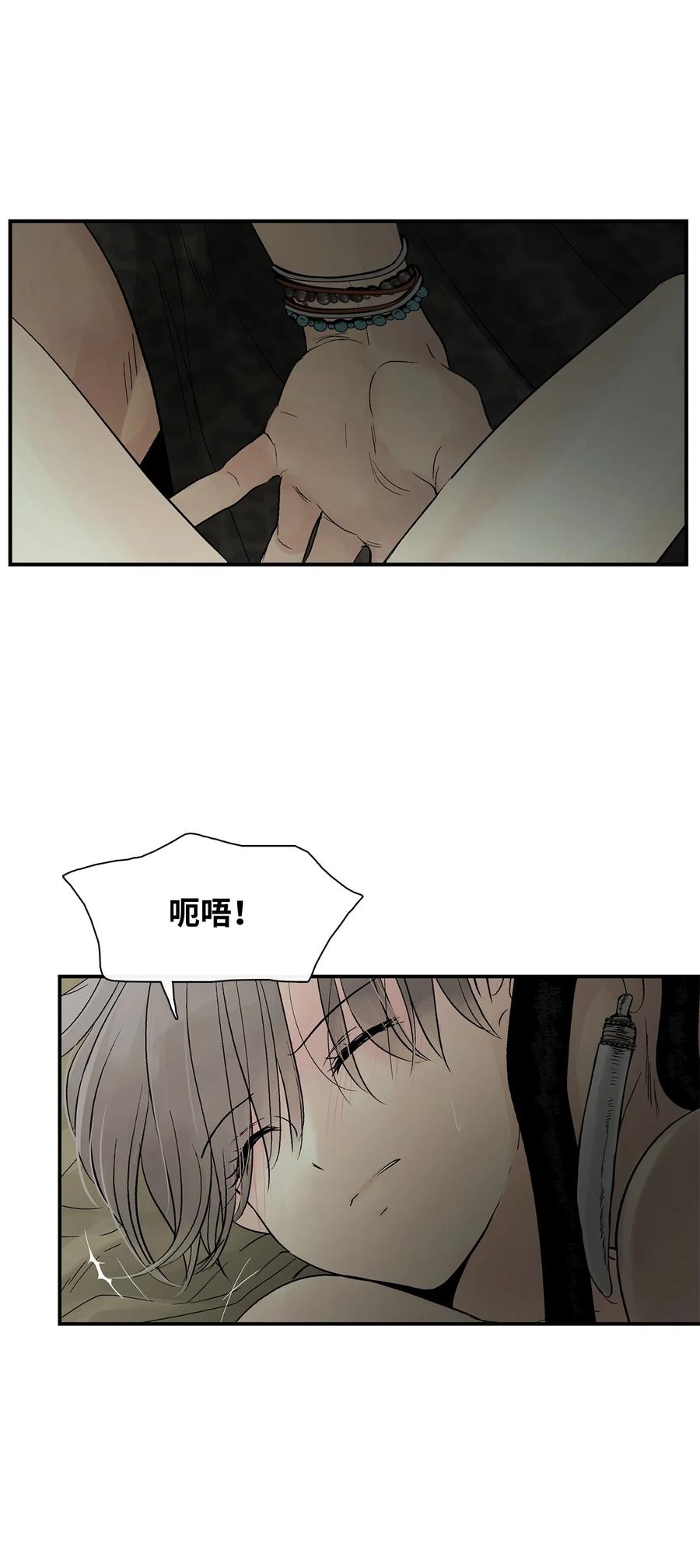 图腾领域 - 74 最后的族长 - 第14张图