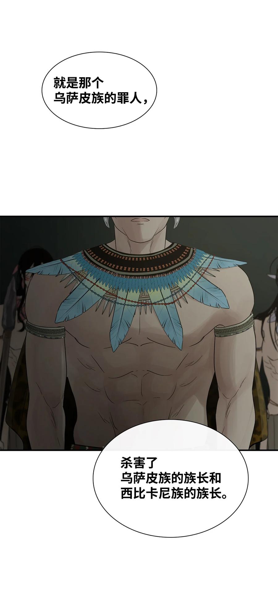 图腾领域 - 74 最后的族长 - 第65张图