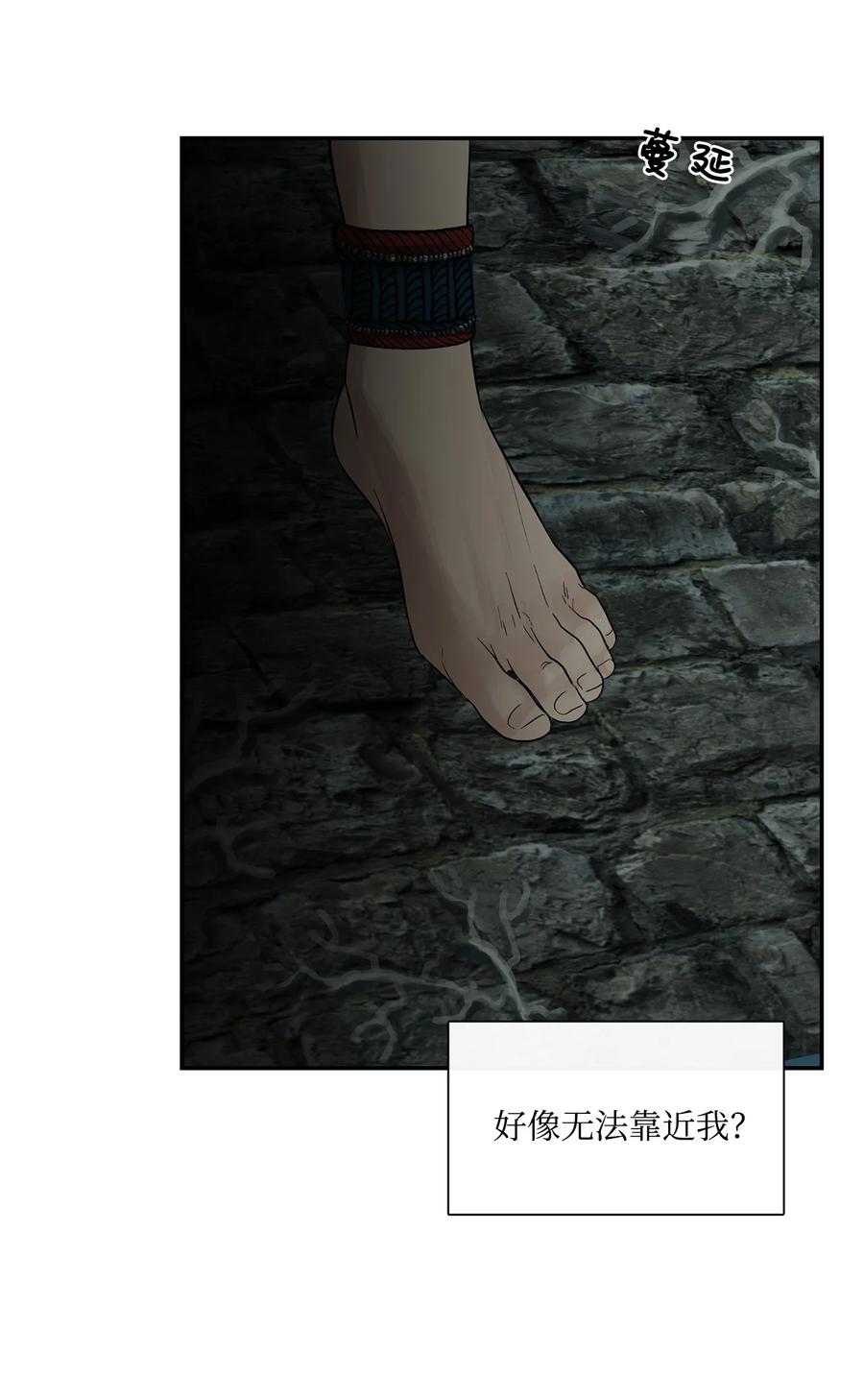 图腾领域 - 76 入侵 - 第47张图