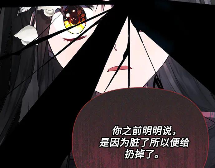 《黑暗皇女：雅什泰洛迪》第49话 第216页