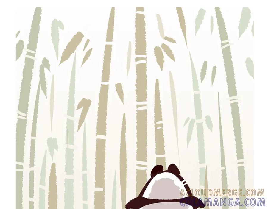 《胖达x胖达》第56话 第5页