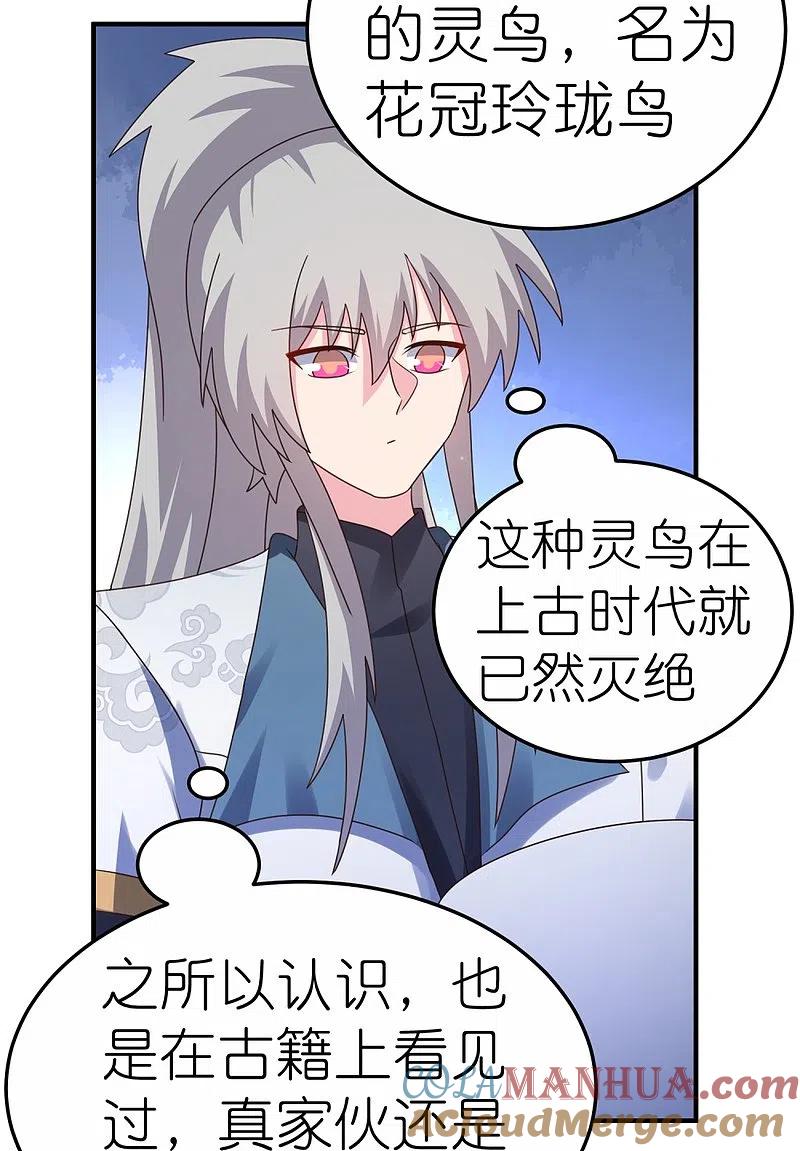 《尊上》第362话 电云分舵 第13页