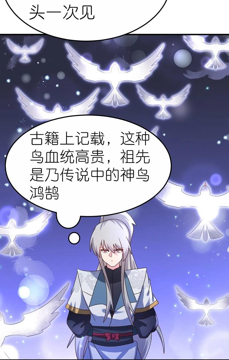 《尊上》第362话 电云分舵 第14页