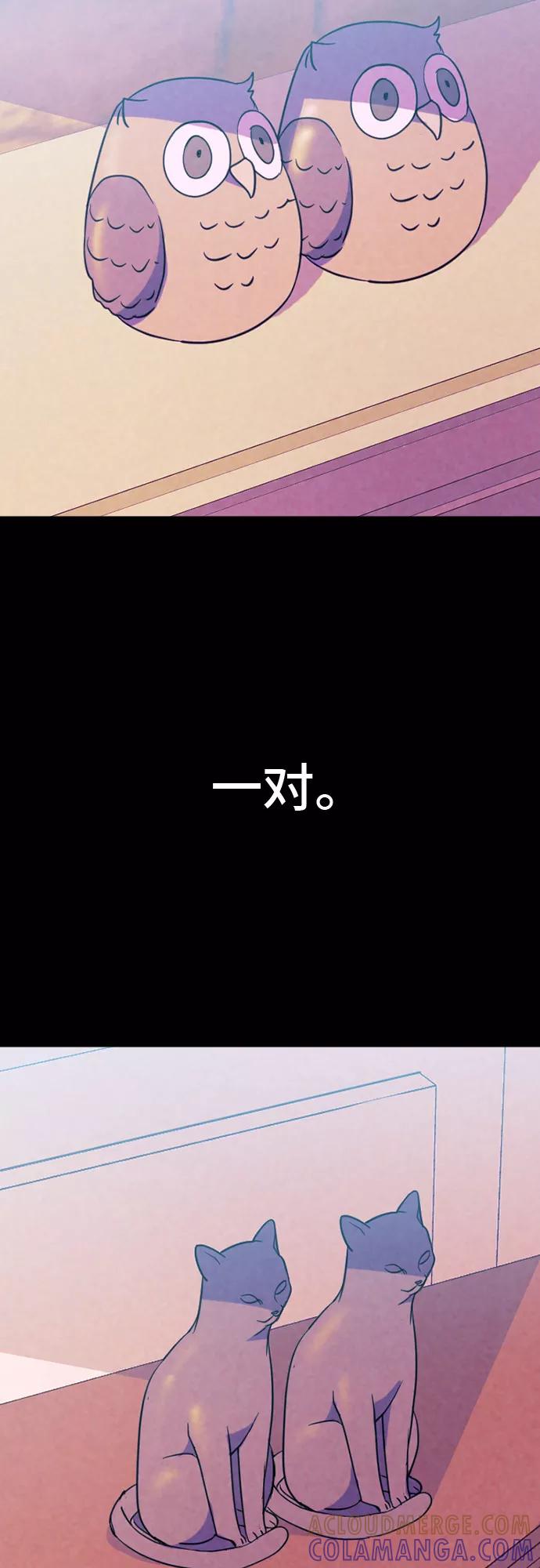 《国王和圣骑士的掠夺婚》第12话 第13页