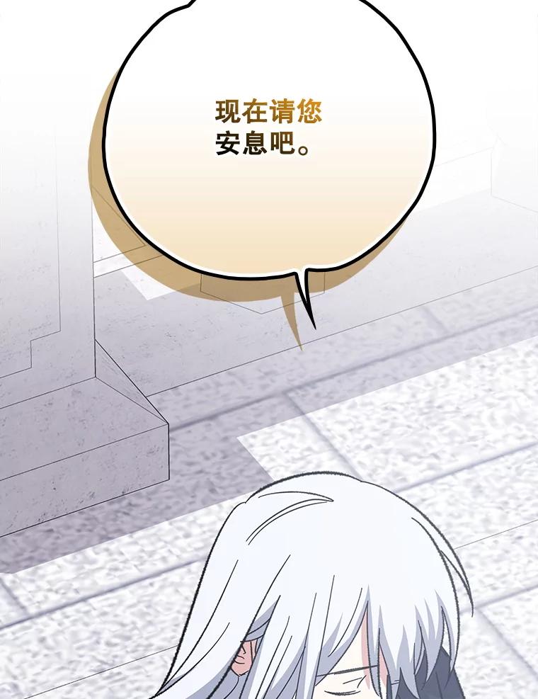 《伊格列特》133.教皇离世 第114页