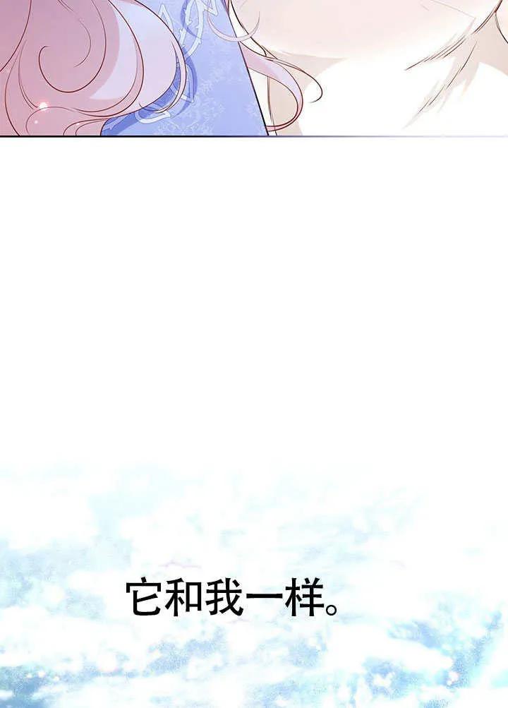 我拒绝了宠爱，为什么还要执着啊 第27话 第47页