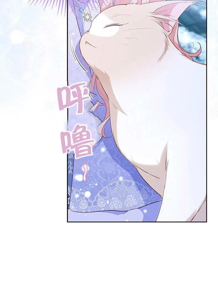 我拒绝了宠爱，为什么还要执着啊 第27话 第36页