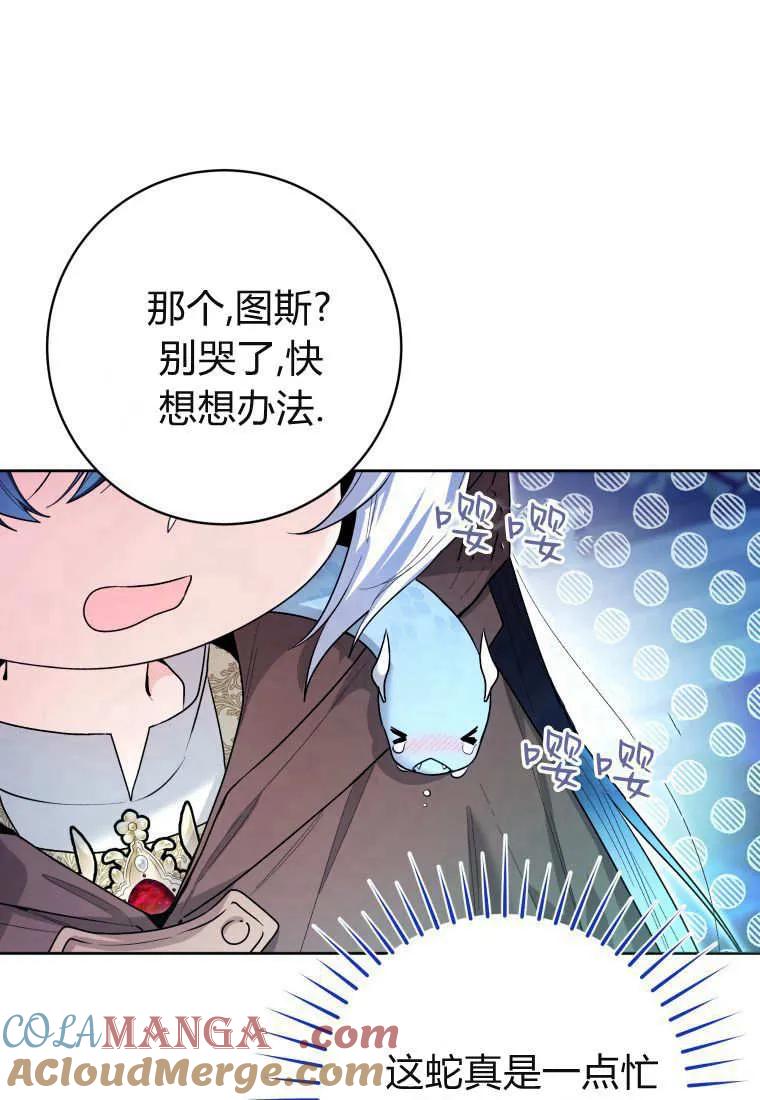 黑幕虎鲸宝宝 第43话 第13页