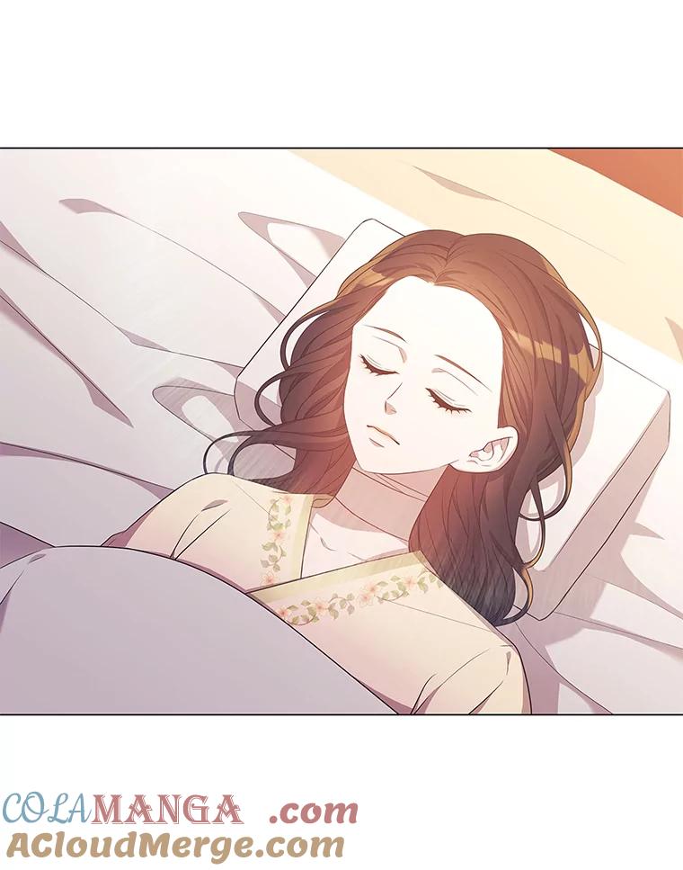 《魅惑狐狸》5.表忠心的小丫头 第29页