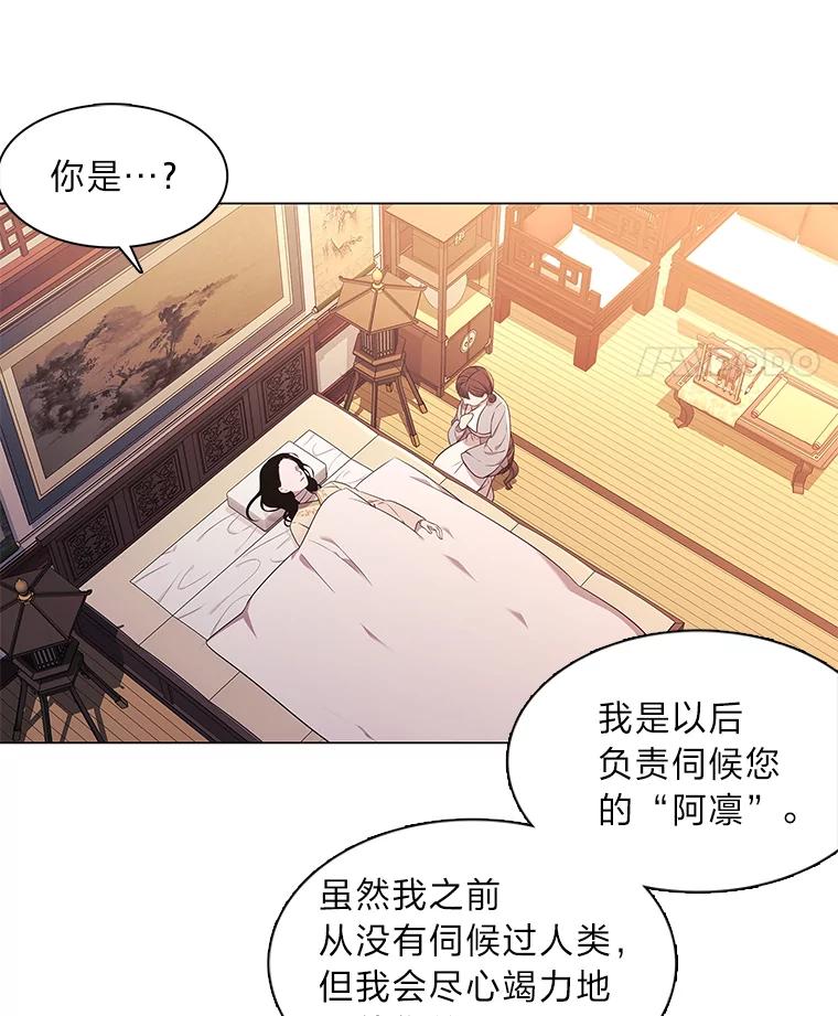 《魅惑狐狸》5.表忠心的小丫头 第35页