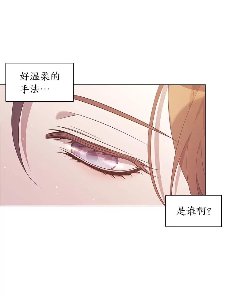 《魅惑狐狸》5.表忠心的小丫头 第31页