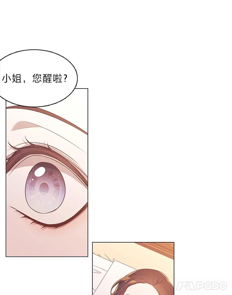 《魅惑狐狸》5.表忠心的小丫头 第32页