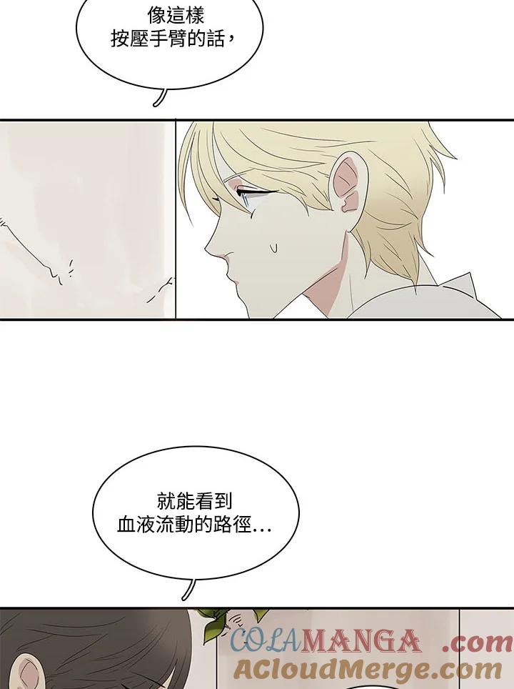 《梅蒂纳》第69话 第27页