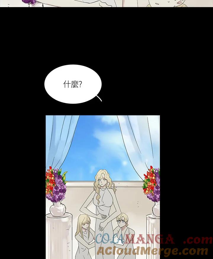 《梅蒂纳》第69话 第33页