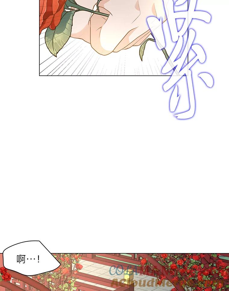 《魅惑狐狸》6.声东击西 第9页