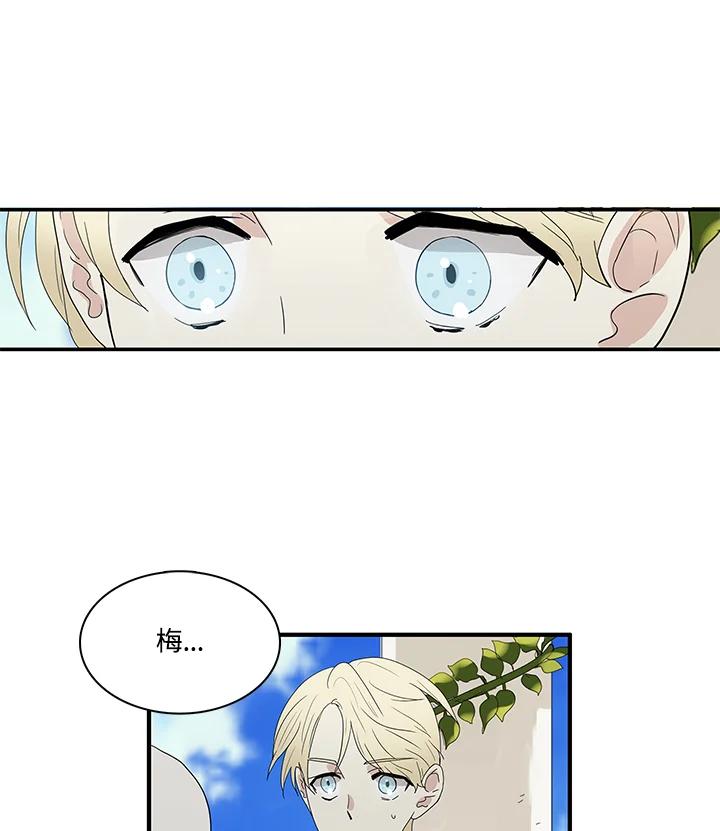 《梅蒂纳》第70话 第42页