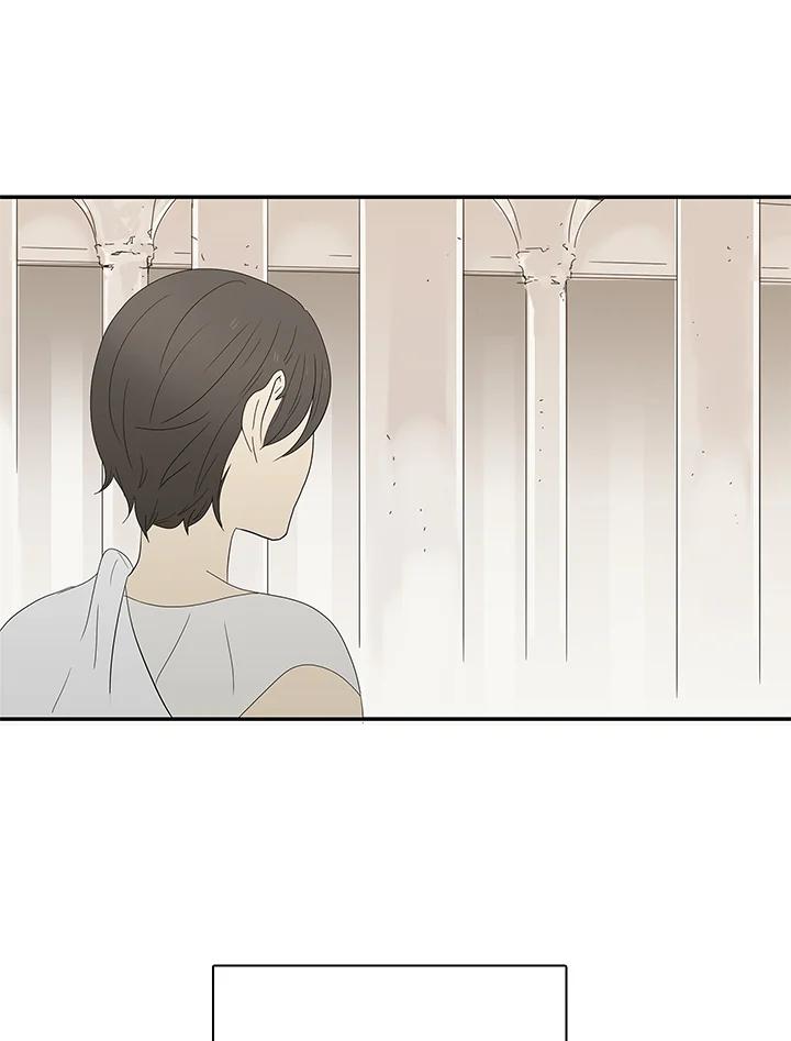 《梅蒂纳》第72话 第53页