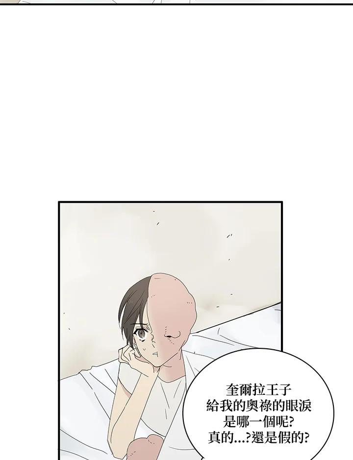 《梅蒂纳》第72话 第14页