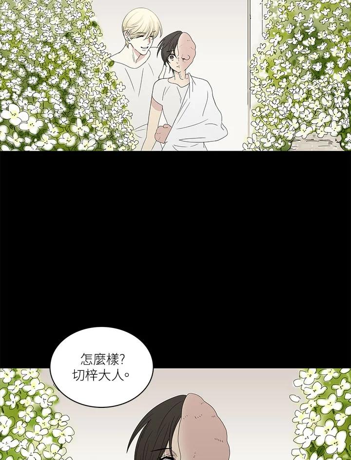 《梅蒂纳》第77话 第39页