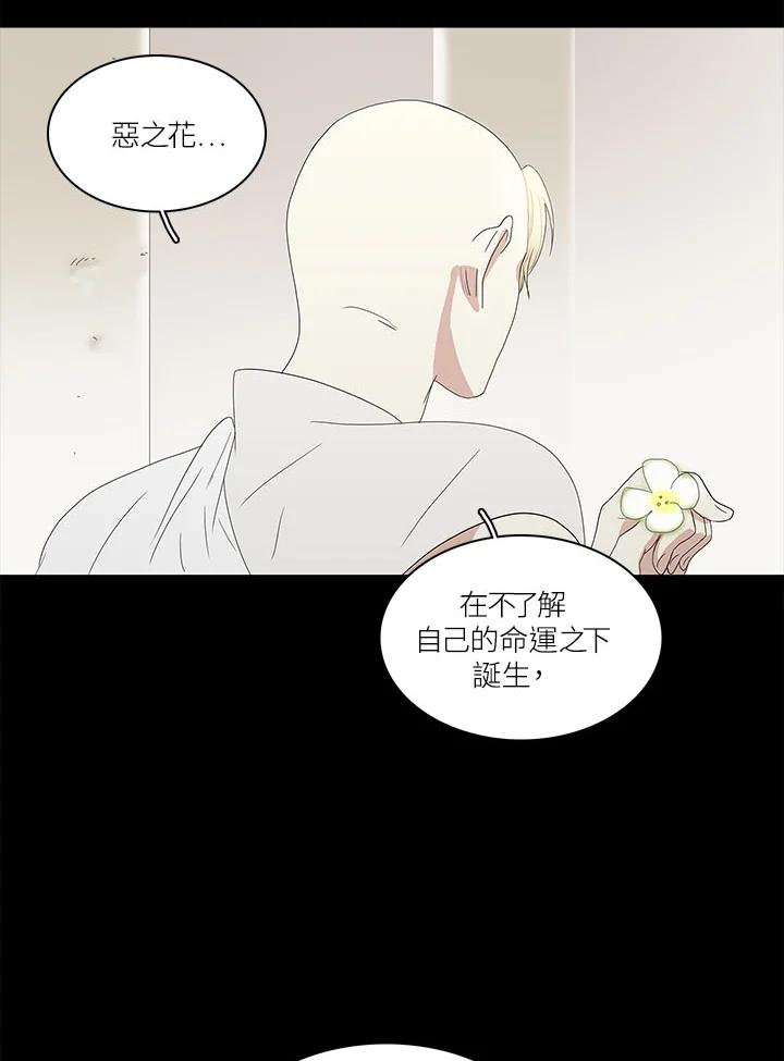 《梅蒂纳》第77话 第47页