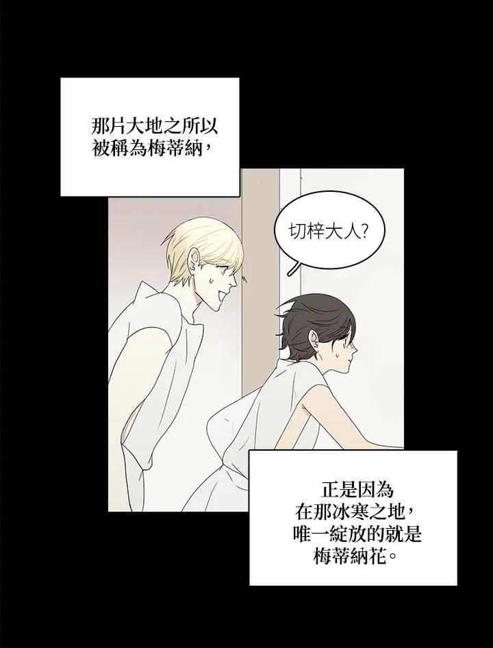 《梅蒂纳》第77话 第41页