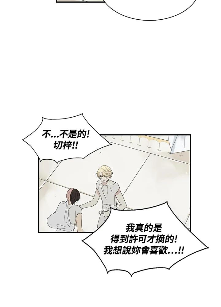 《梅蒂纳》第78话 第20页