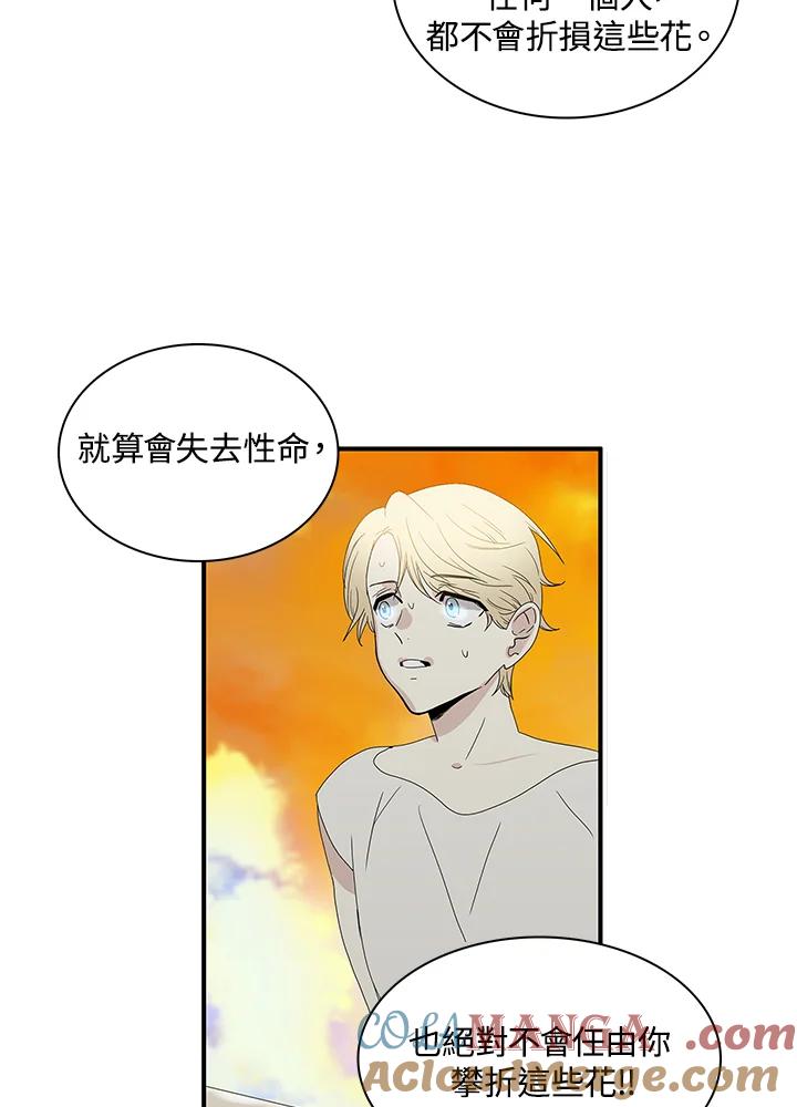 《梅蒂纳》第78话 第19页