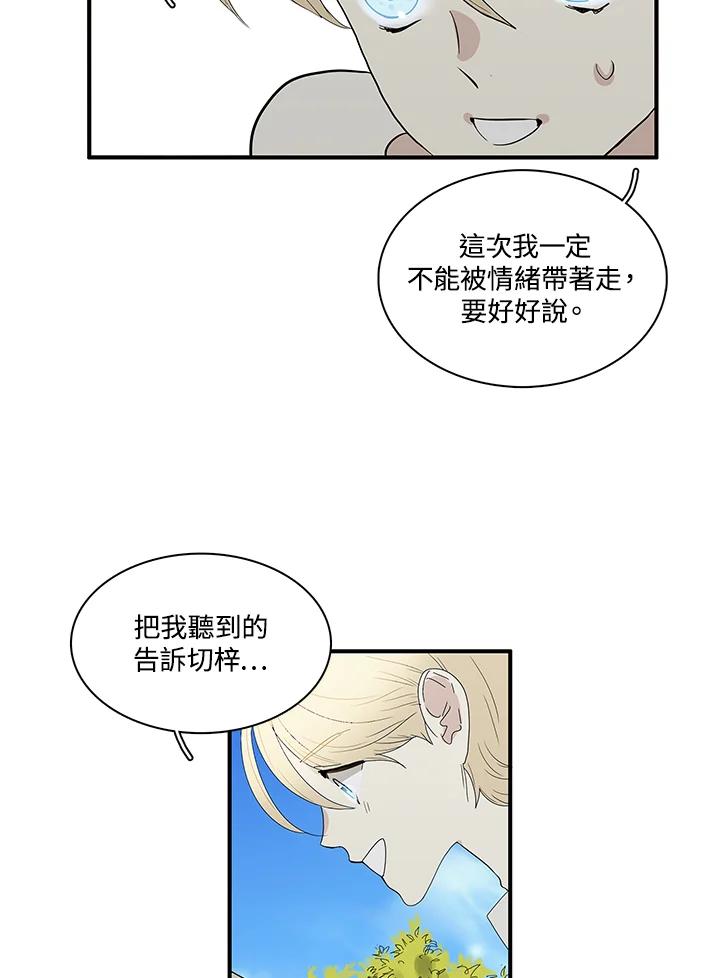 《梅蒂纳》第80话 第35页
