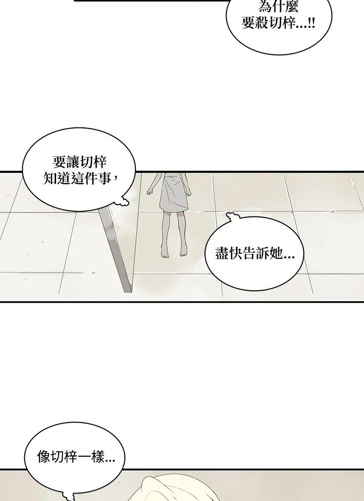 《梅蒂纳》第80话 第5页